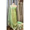 Pistachio Green Tissue Silk Suit with Digital Floral Print Dupatta