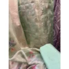 Pistachio Green Tissue Silk Suit with Digital Floral Print Dupatta